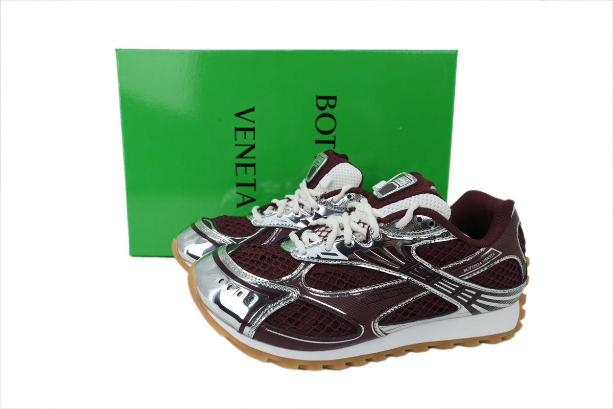 Bottega Veneta dolce manolo blahnik  shoes Orbit Silver-brown