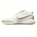 Nike LeBron 21 Low-Top Basketball Shoes